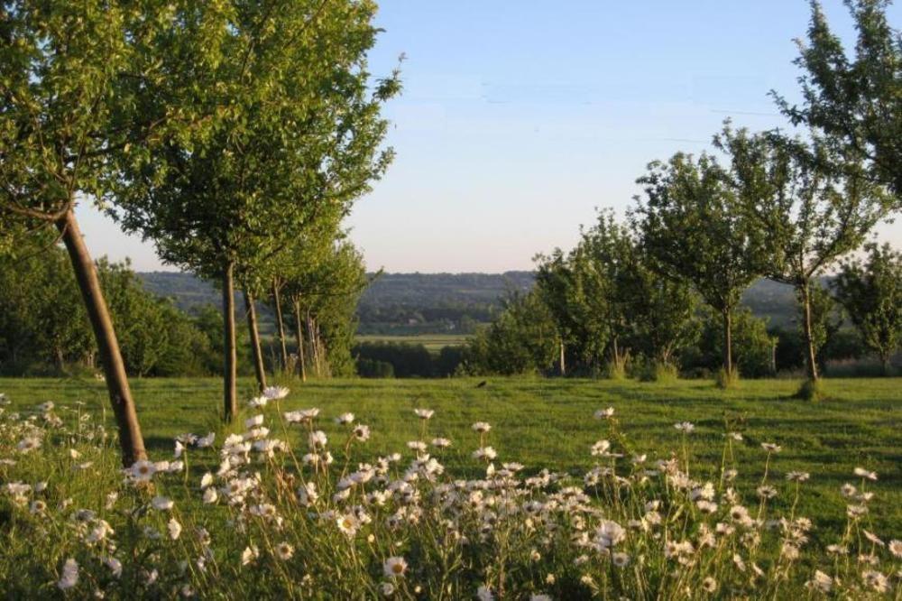 Canapville  Le Mont D'Auge B&B 외부 사진